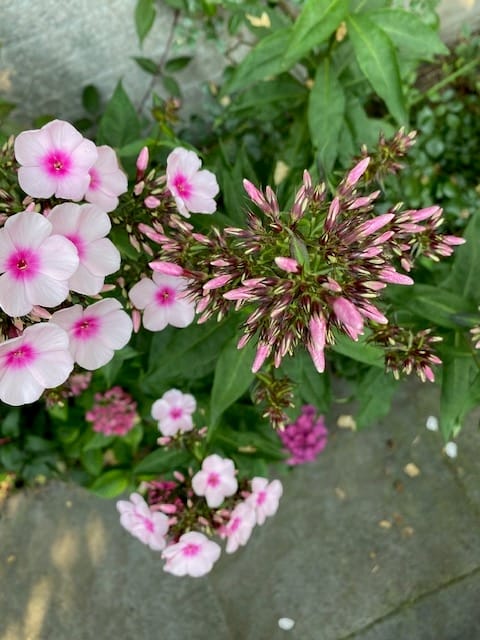 Foto 39 van Nijverstraat 102