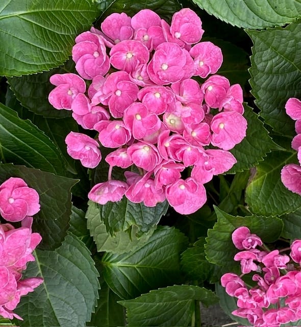 Foto 40 van Nijverstraat 102