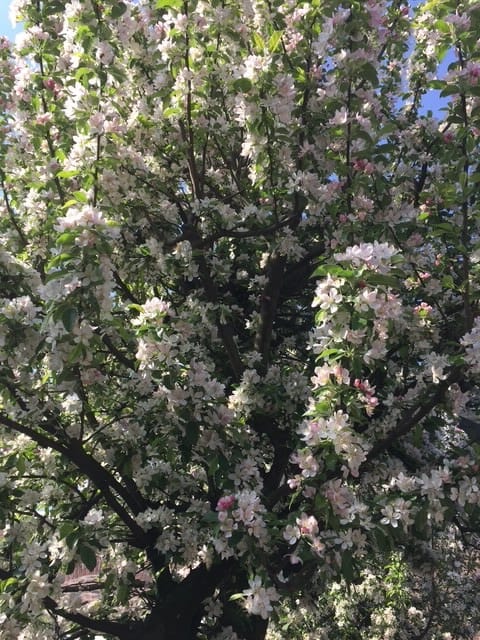 Foto 43 van Nijverstraat 102