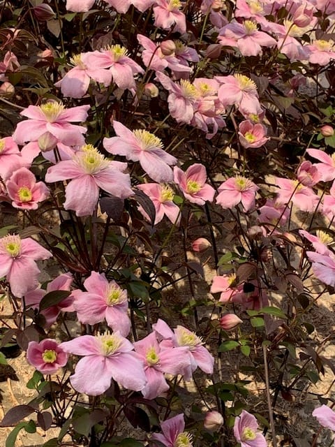 Foto 45 van Nijverstraat 102