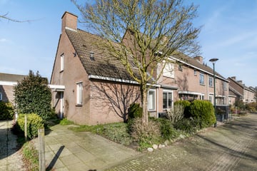 Kantorshoeve thumbnail