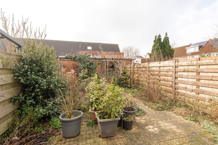 Foto 15 van Augustus 4