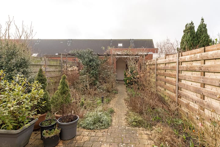 Foto 16 van Augustus 4