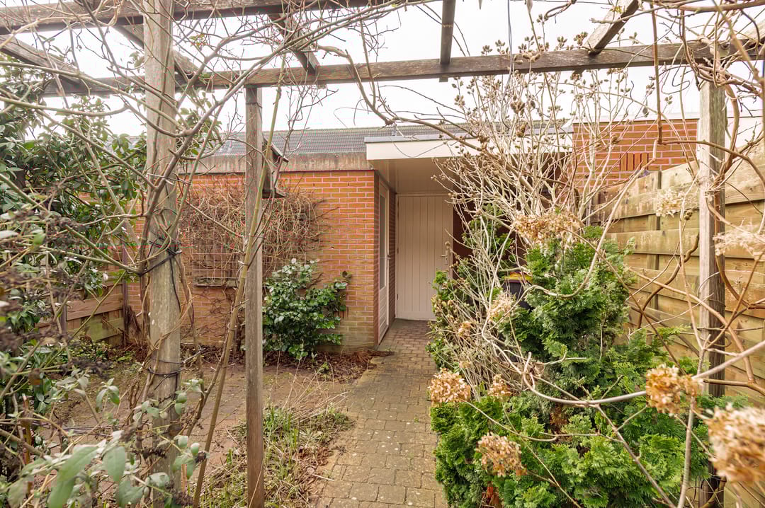 Foto 17 van Augustus 4