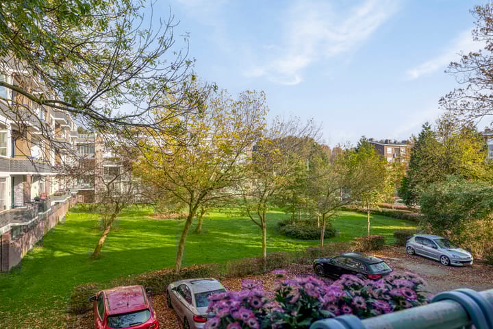 Foto 17 van van Leeuwenstraat 119