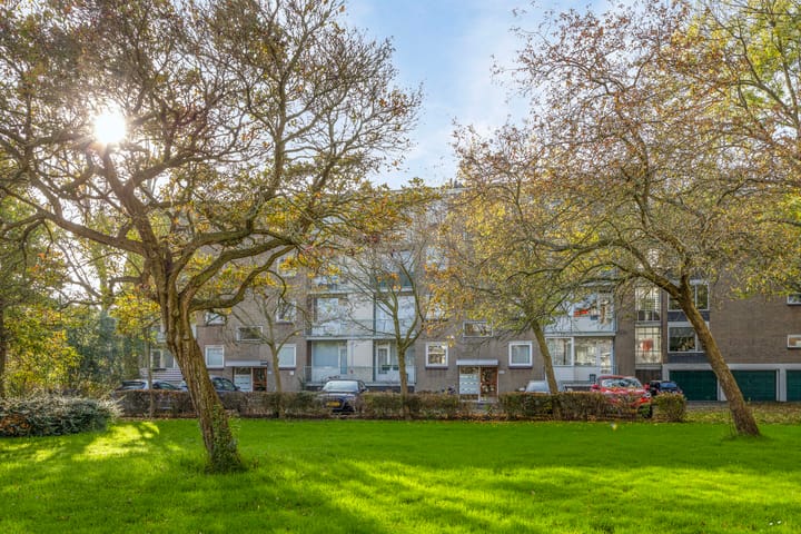 Foto 31 van van Leeuwenstraat 119