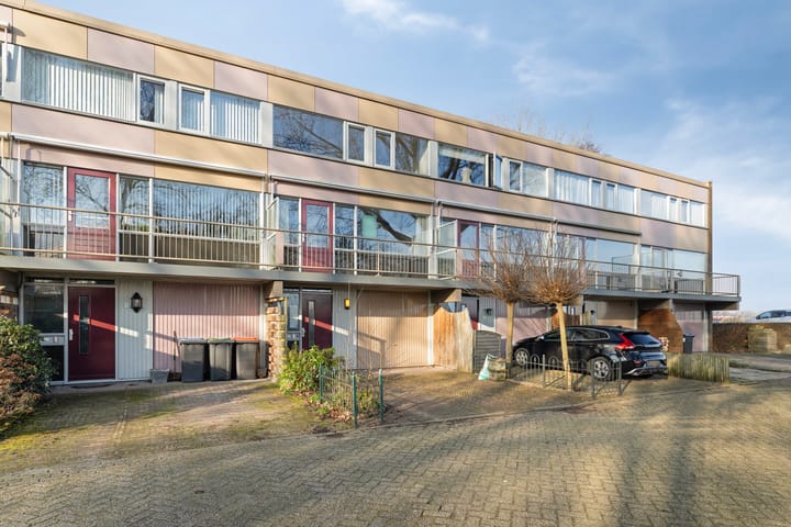 Korenbloem 8