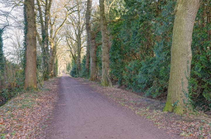 Foto 49 van Zevenhuizerweg 113