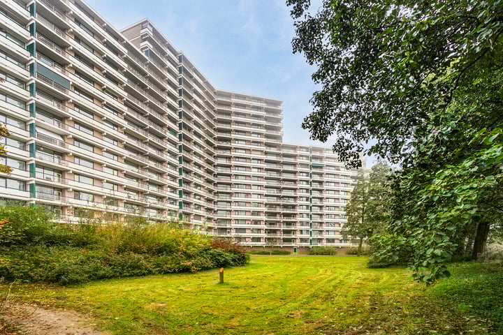 Groningensingel 795