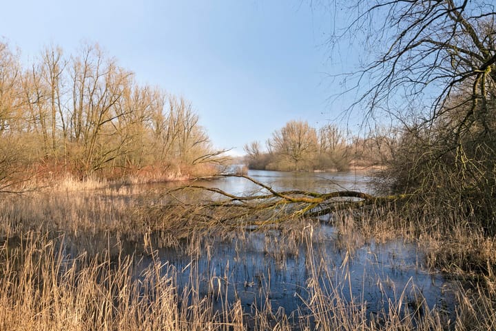 Foto 3 van Groningensingel 901