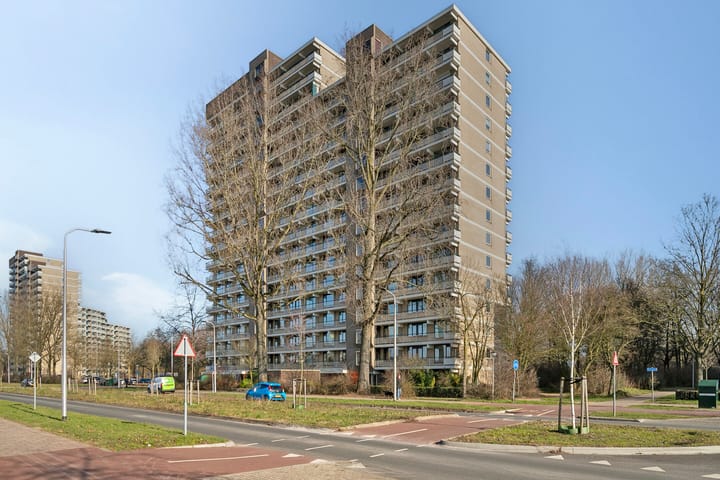 Foto 5 van Groningensingel 901