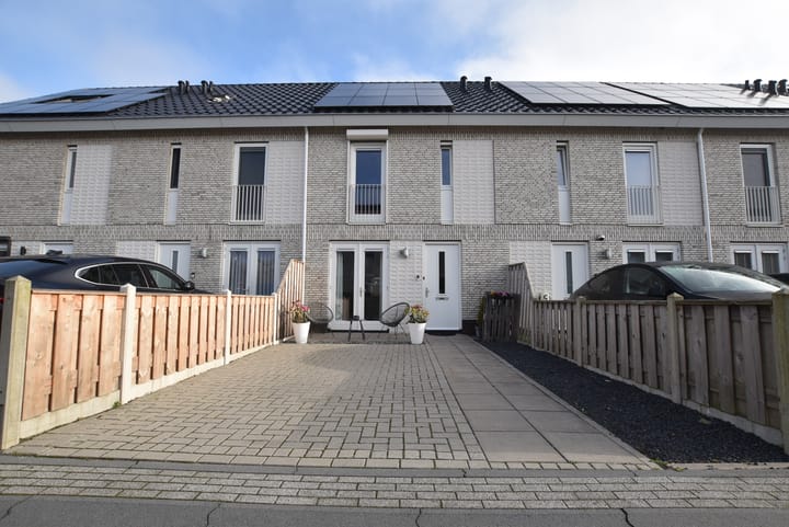 Foto 1 van Penningkruidstraat 19