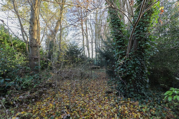 Foto 59 van Valkenburgseweg 41