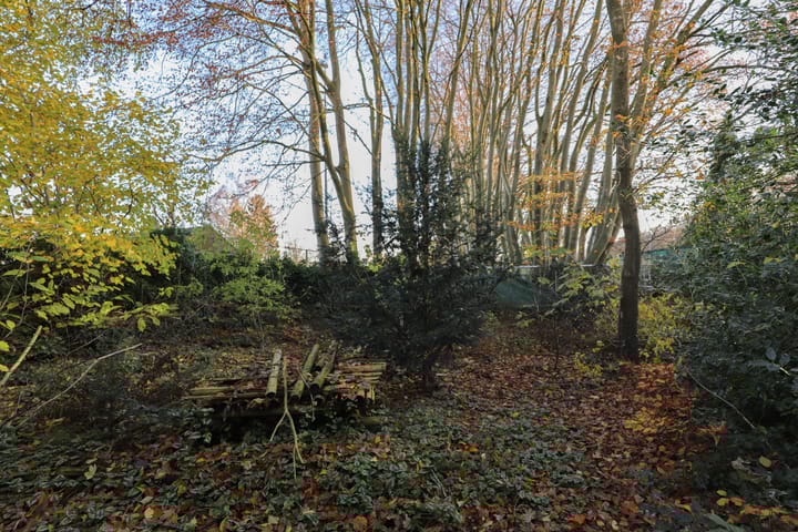 Foto 60 van Valkenburgseweg 41