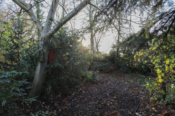 Foto 61 van Valkenburgseweg 41