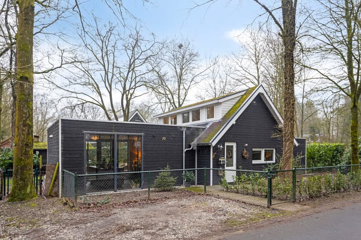 Foto 4 van Geranium 73