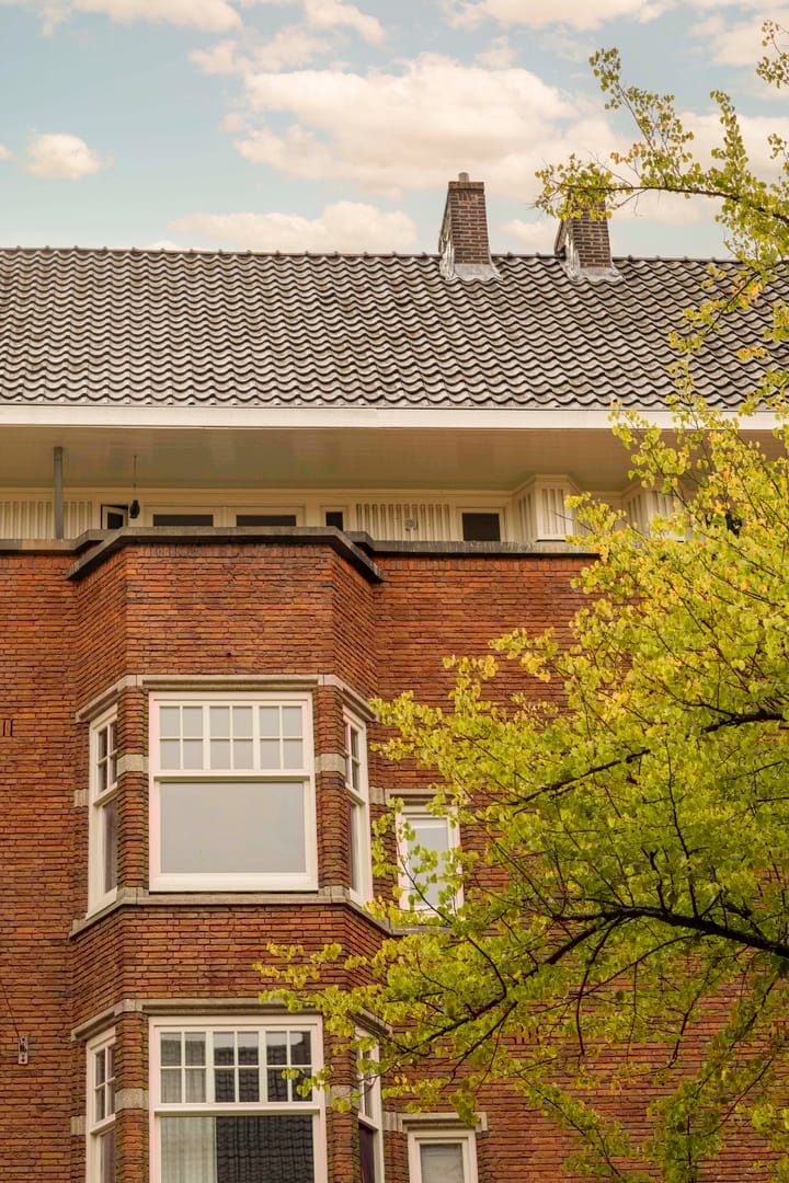 Foto 6 van Parnassusweg 22-3