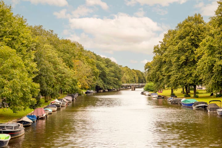 Foto 42 van Parnassusweg 22-3