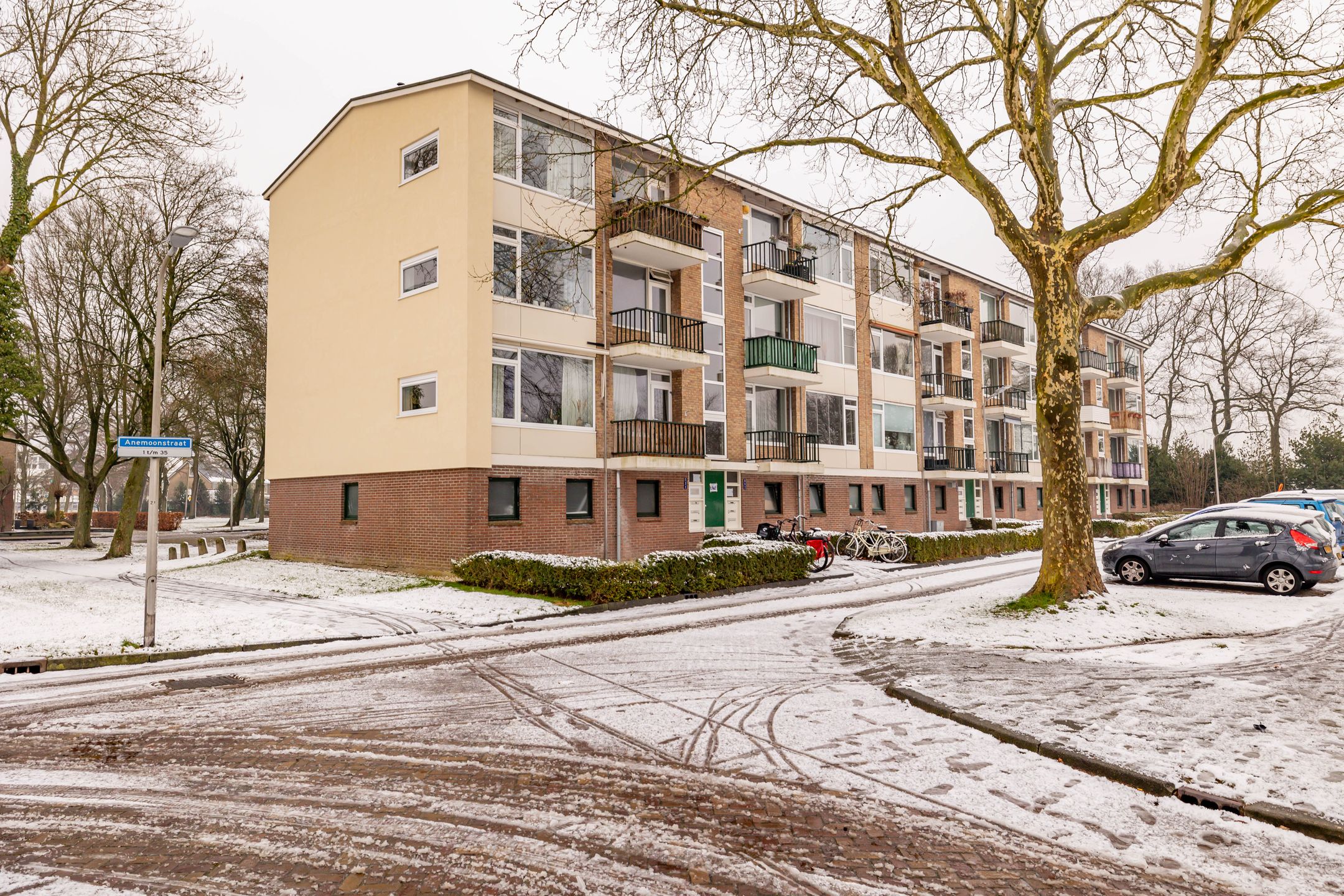 Photo 6 of Anemoonstraat 21