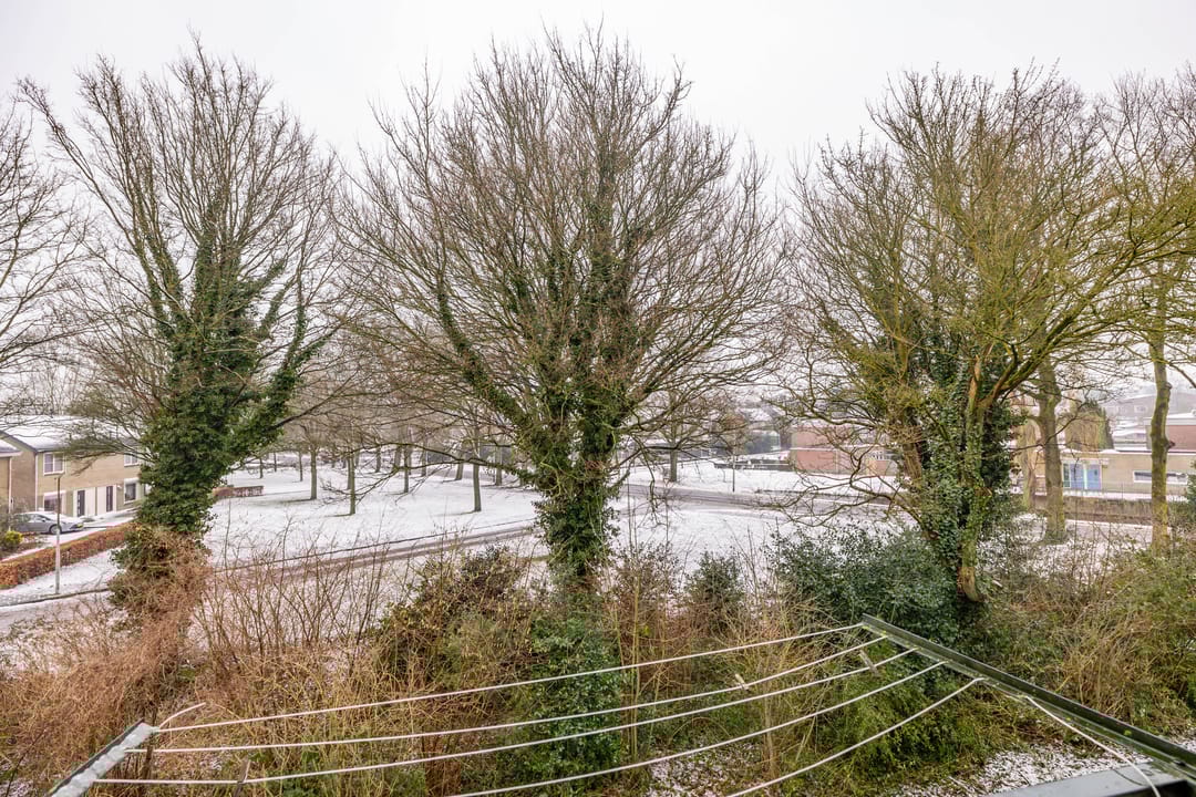 Photo 22 of Anemoonstraat 21