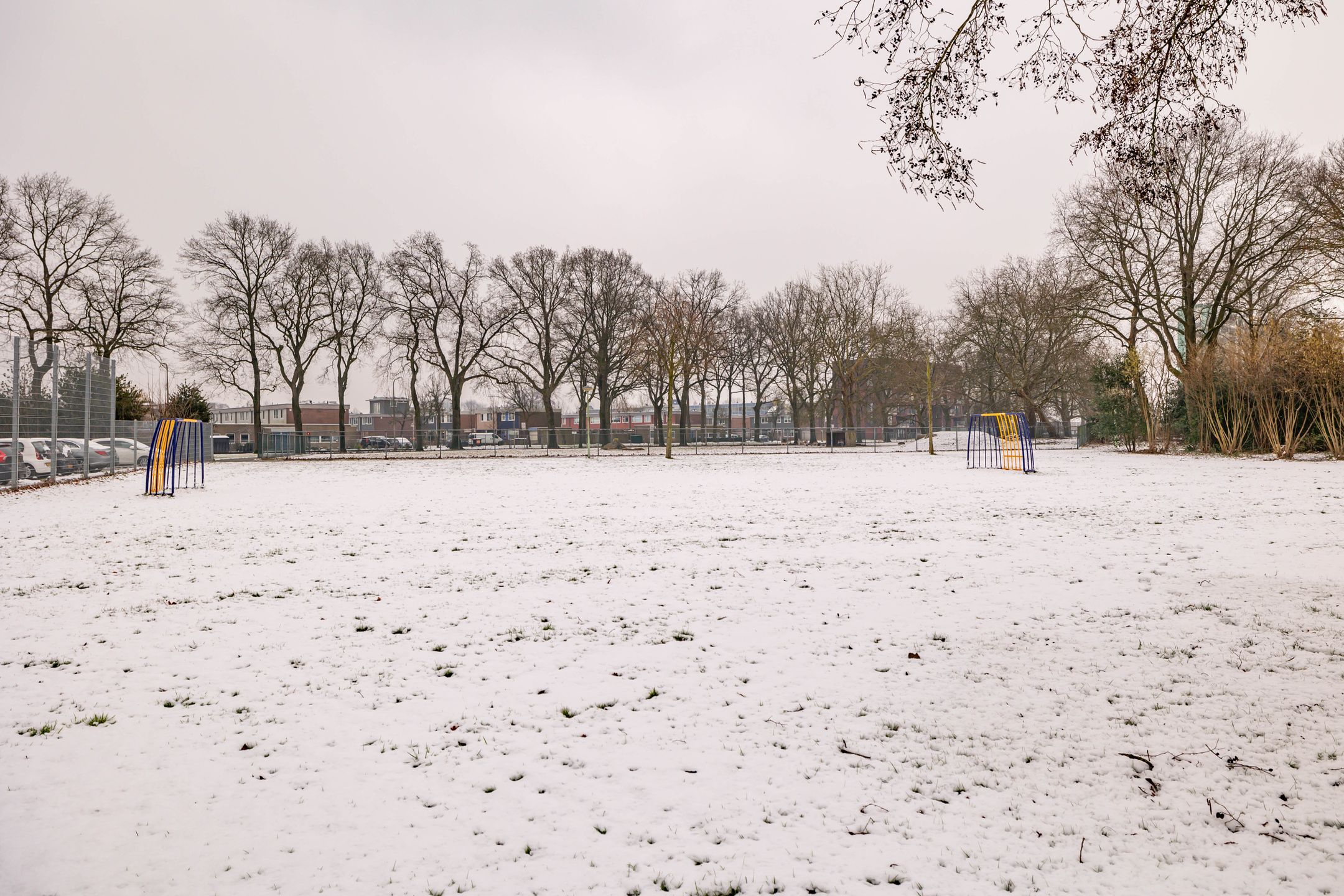 Photo 39 of Anemoonstraat 21