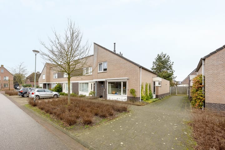 Foto 6 van De Patrijs 32