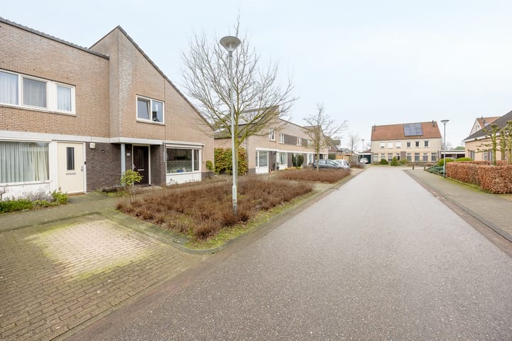 Foto 35 van De Patrijs 32