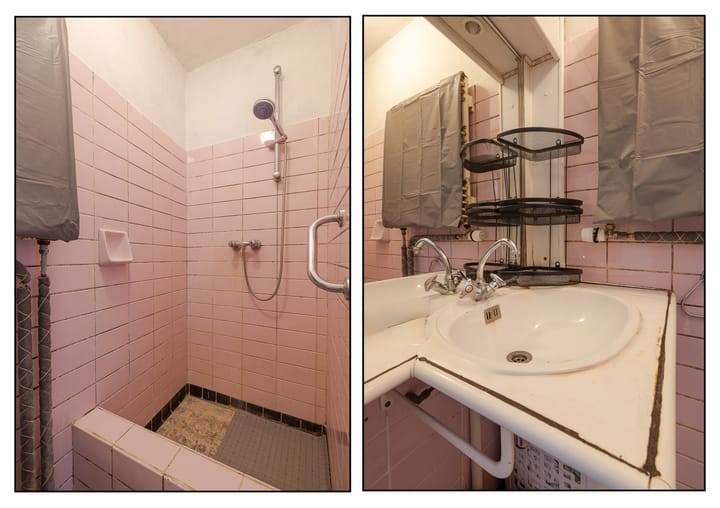 Foto 19 van Rooseveltlaan 818