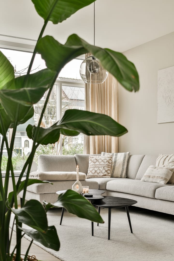 Foto 15 van Heijermansstraat 10