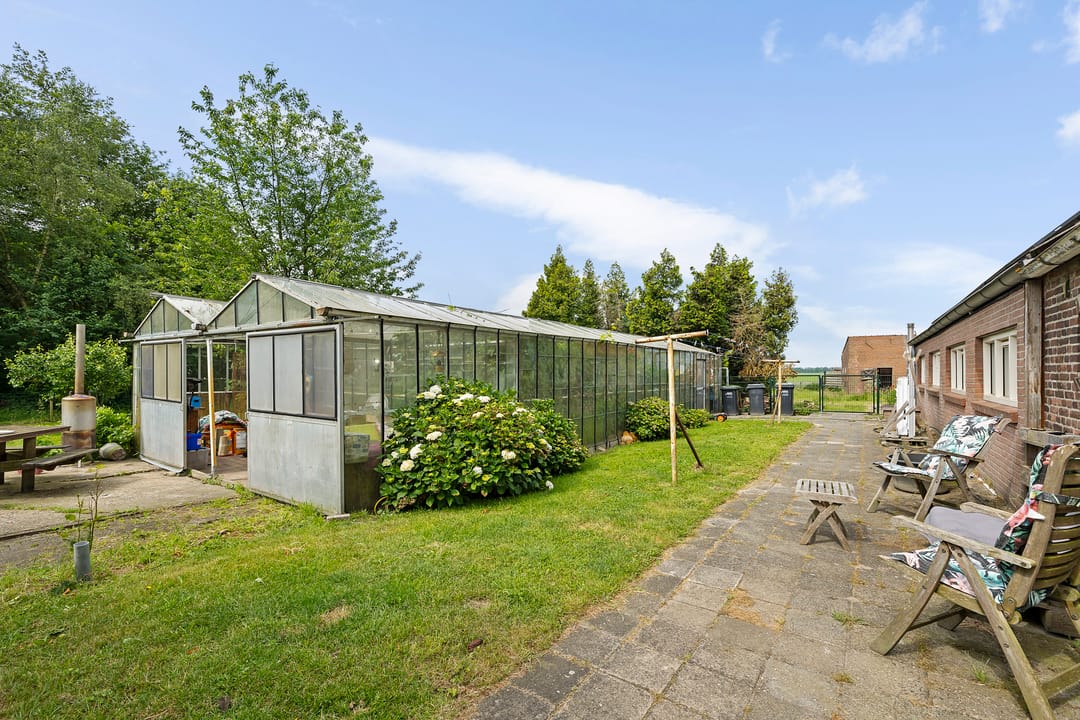 Photo 37 of Nieuwe Krim 13