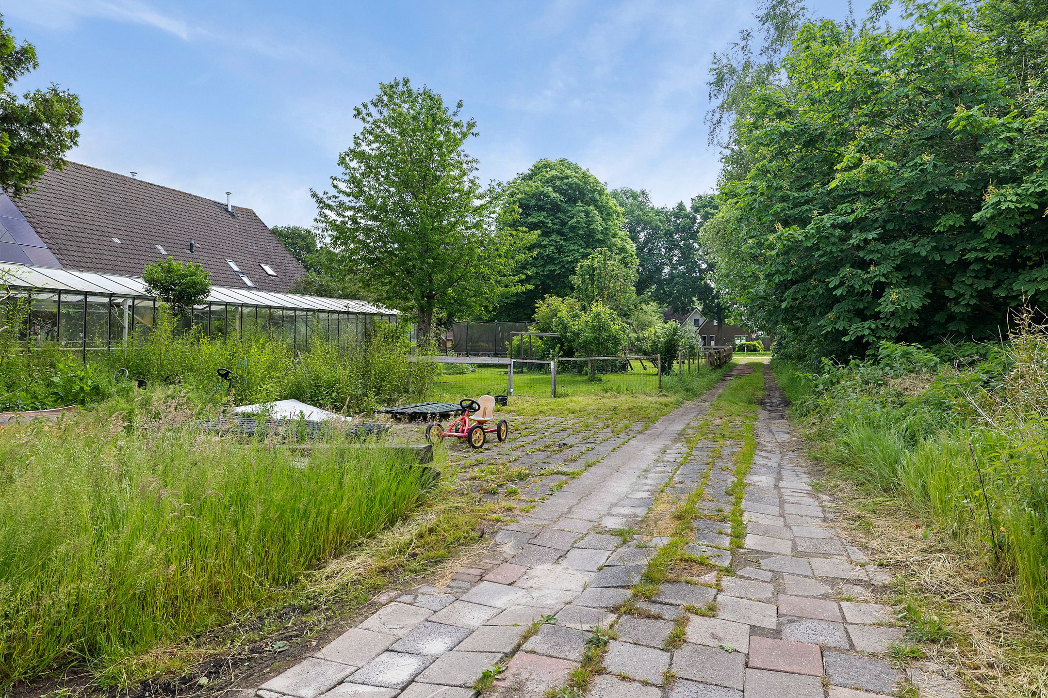 Photo 42 of Nieuwe Krim 13