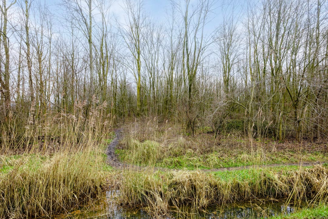 Foto 52 van Jane Addamsstraat 6