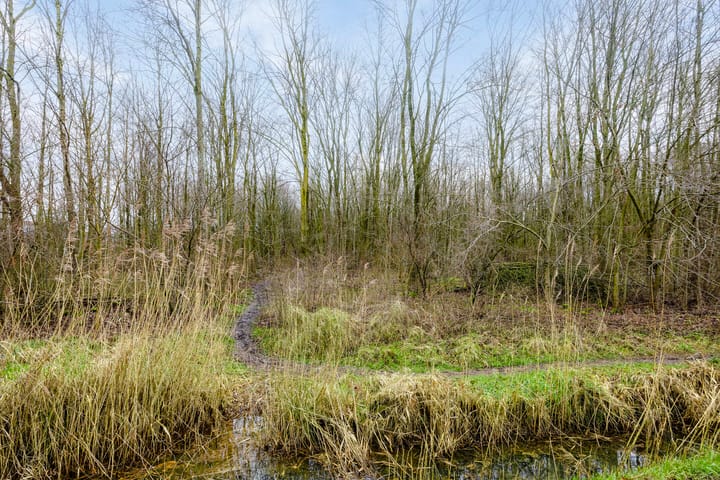 Photo 52 of Jane Addamsstraat 6