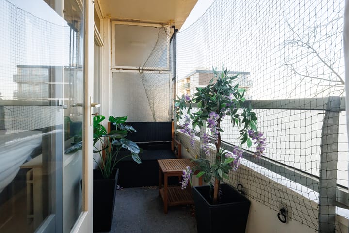 Foto 5 van Ierlandstraat 143