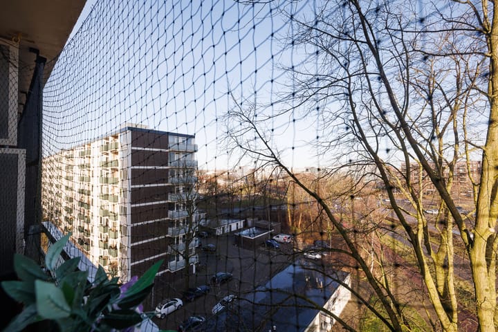 Foto 20 van Ierlandstraat 143