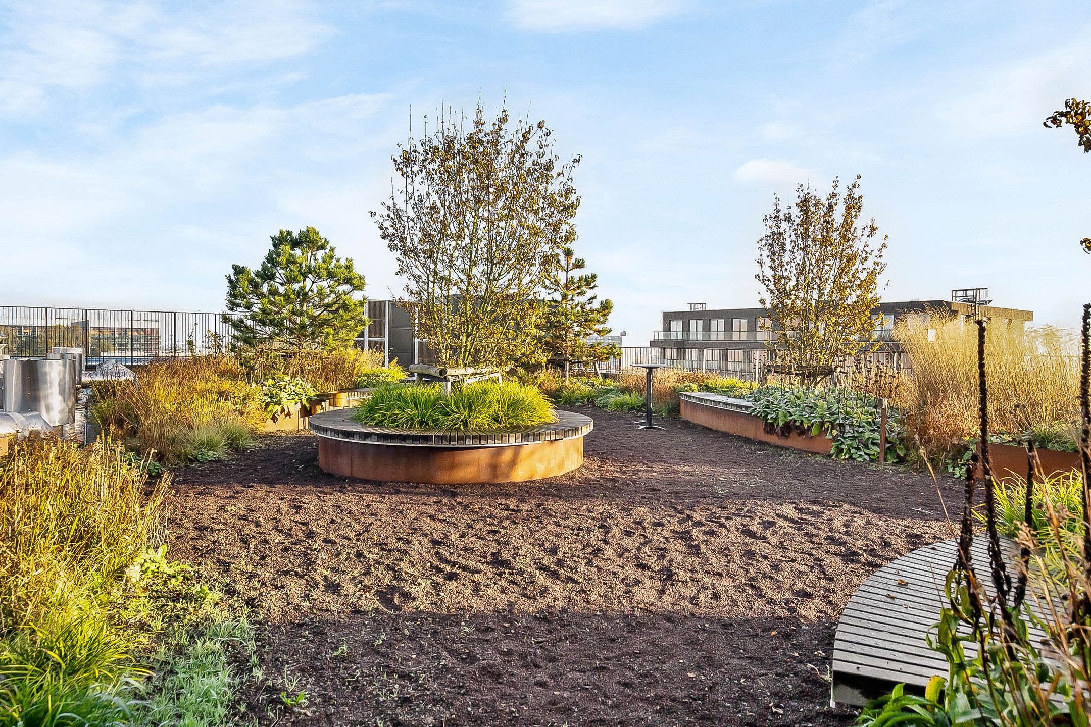 Foto 6 van Surinamepad 166