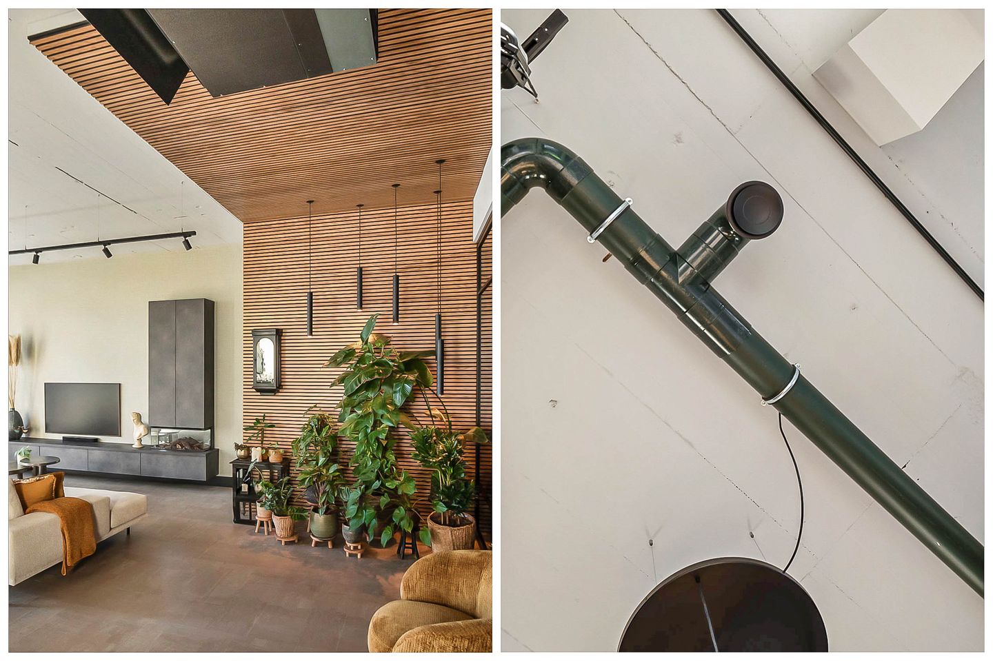 Foto 14 van Surinamepad 166