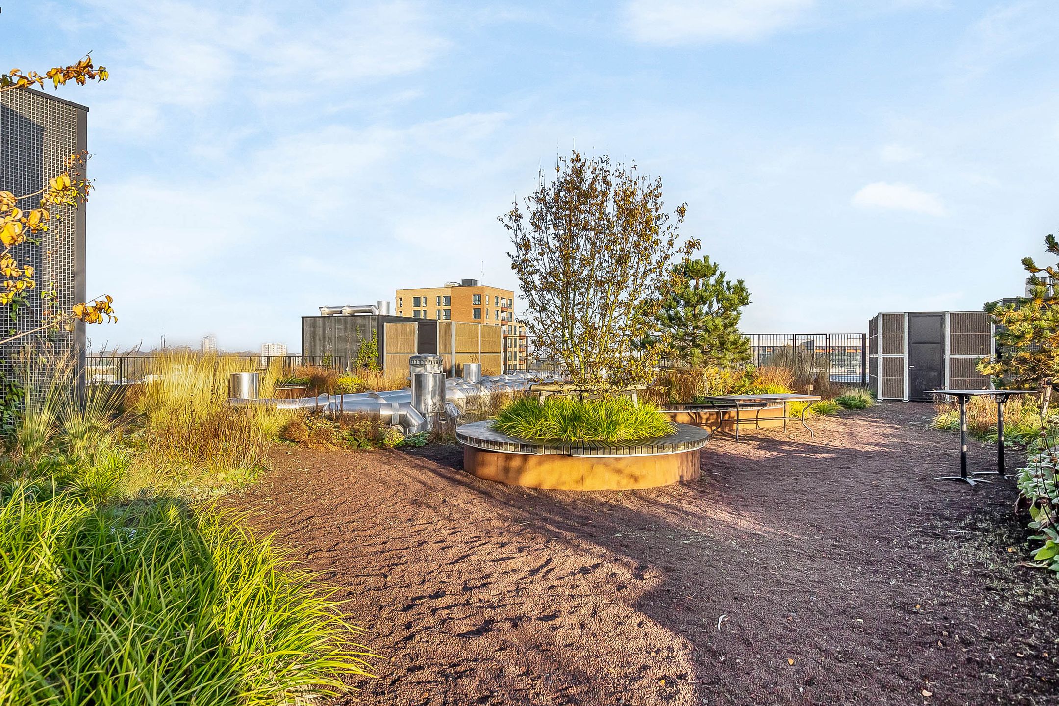 Foto 42 van Surinamepad 166