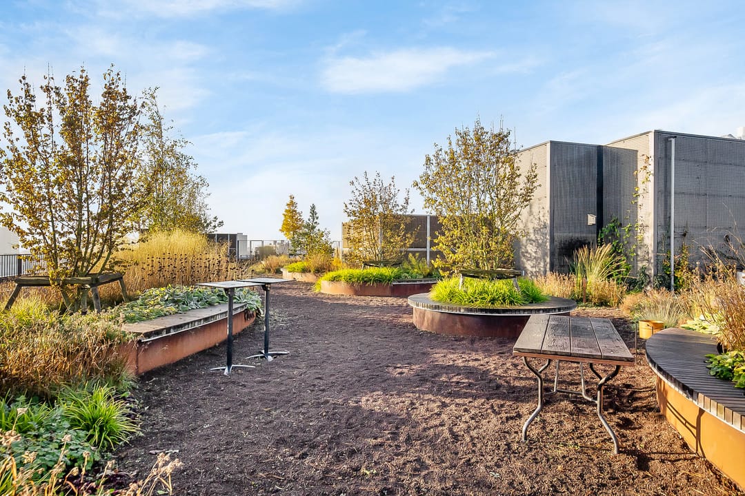 Foto 43 van Surinamepad 166