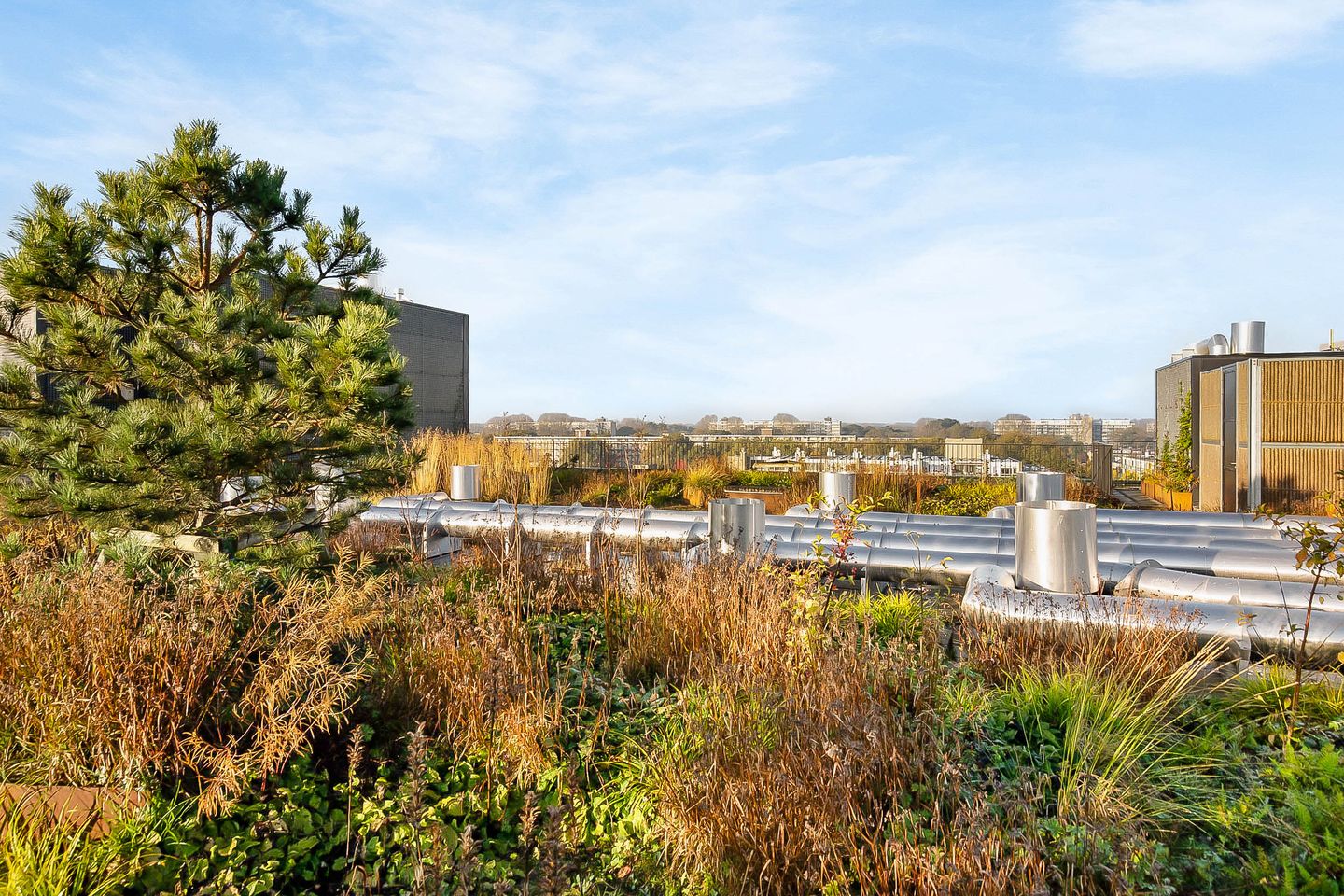 Foto 44 van Surinamepad 166