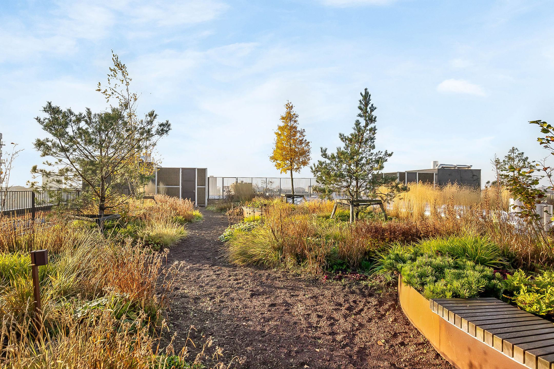 Foto 45 van Surinamepad 166