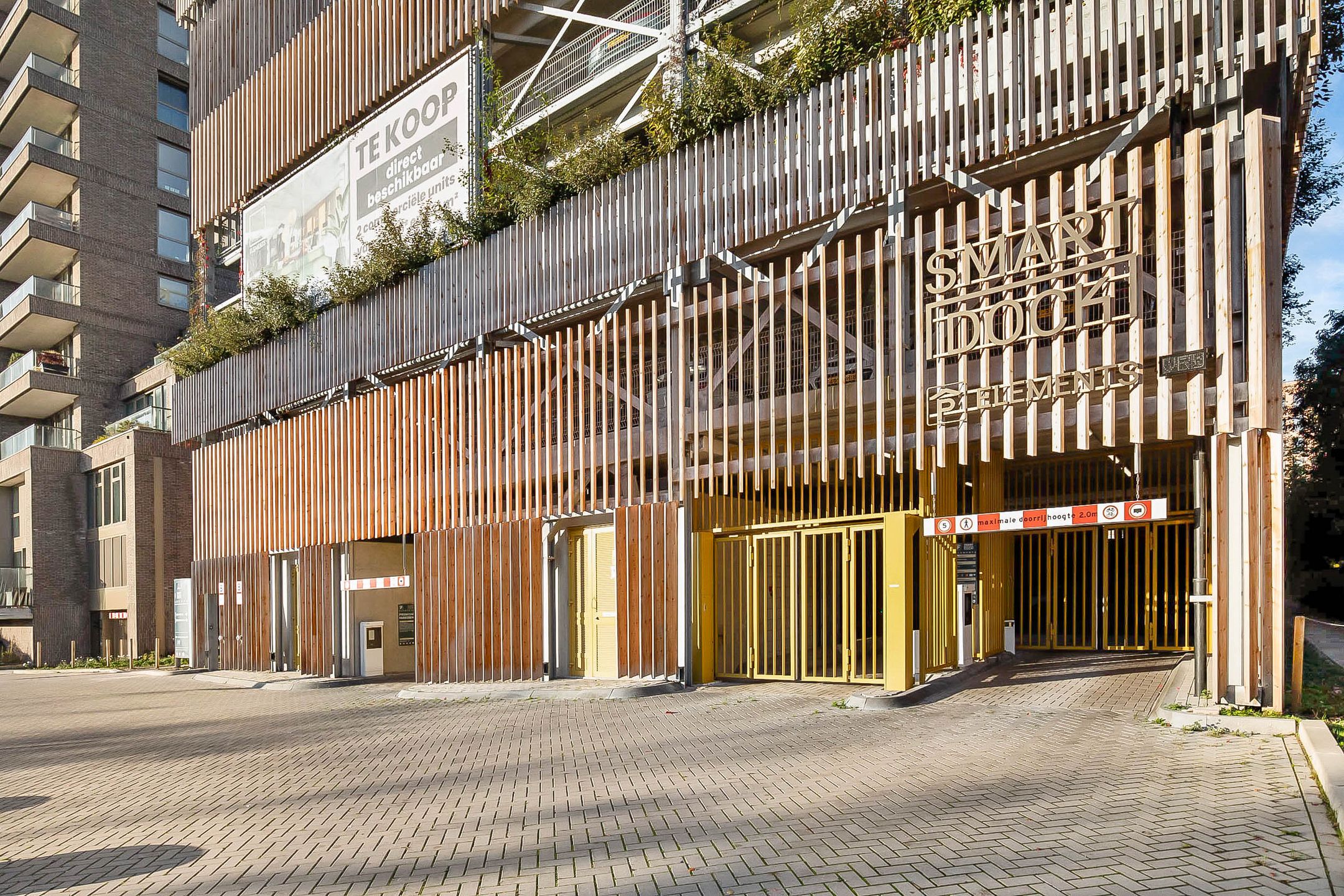 Foto 48 van Surinamepad 166