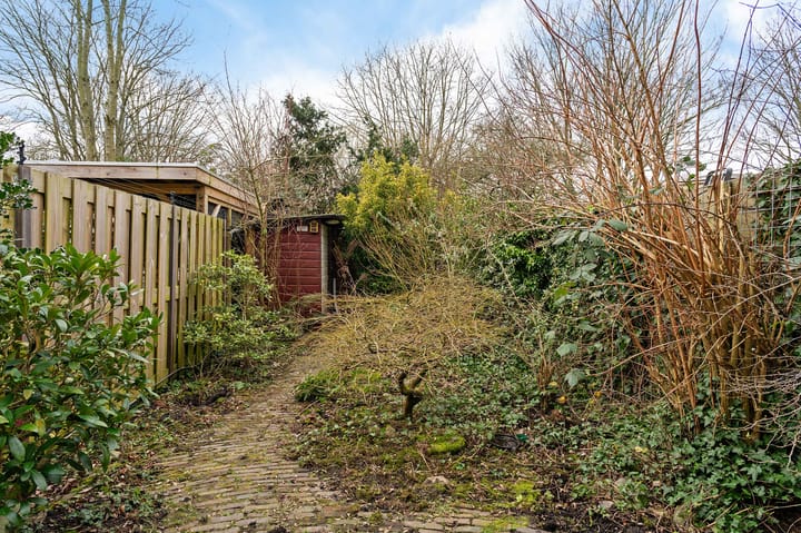 Foto 43 van De Colignystraat 3