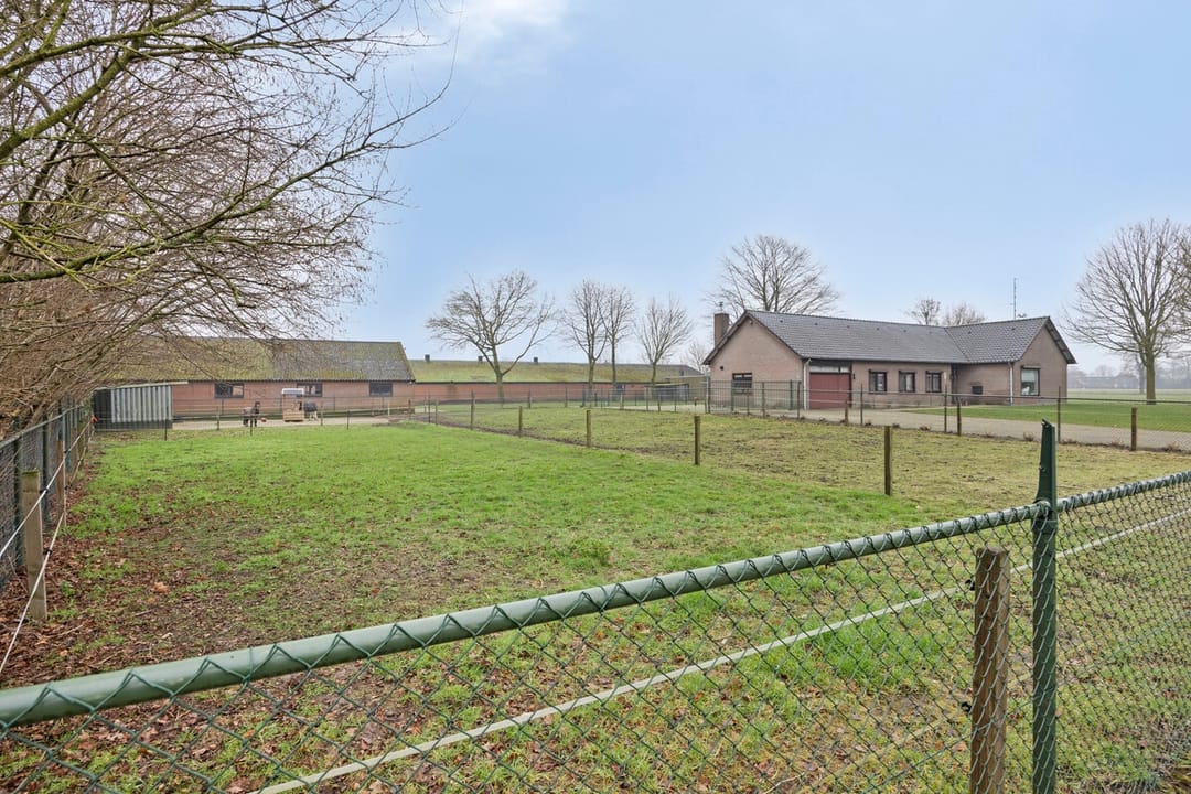 Foto 7 van De Riet 4