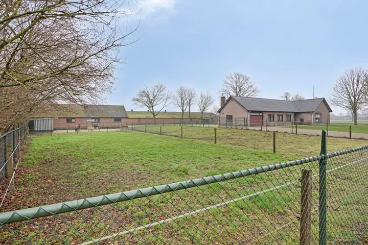 Foto 7 van De Riet 4