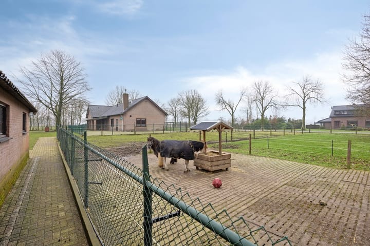 Foto 9 van De Riet 4