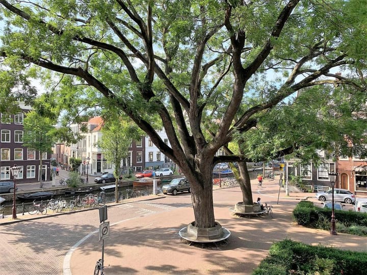 Foto 21 van Falckstraat 4-C