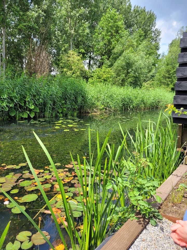 Foto 57 van Joke Smitlaan 33