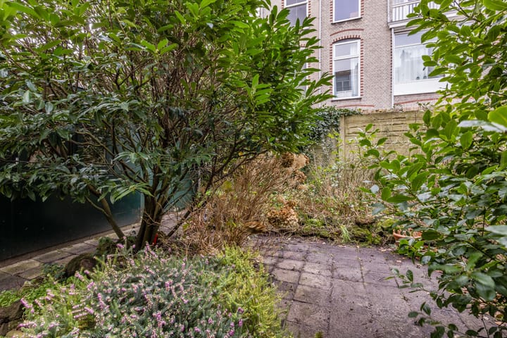 Foto 25 van Van Boetzelaerlaan 26