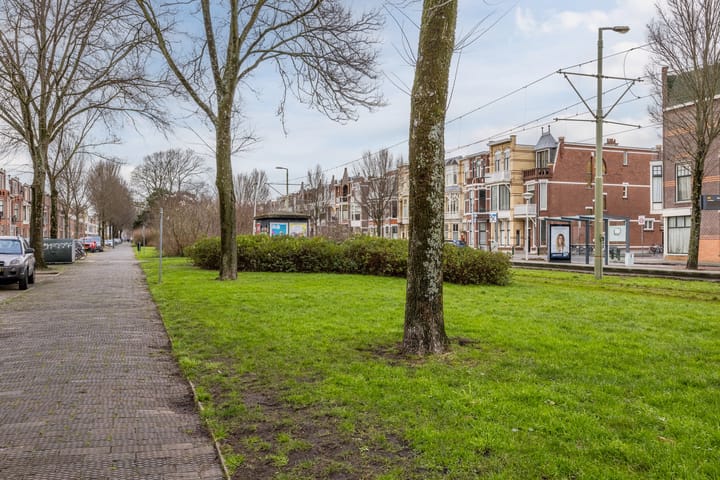 Foto 36 van Van Boetzelaerlaan 26